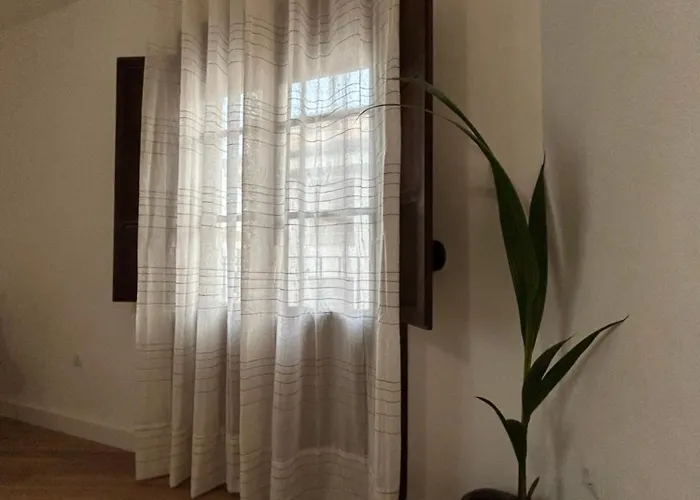 Rual Maria Cabrera Ronda